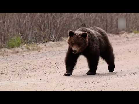Народный патруль 16.06.2026