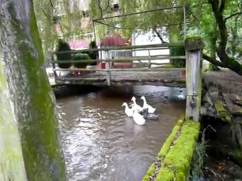 Moara de apă- Ludeștii de Jos