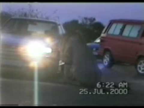 LIONESS OPENING CAR DOOR IN KRUGER NATIONAL PARK