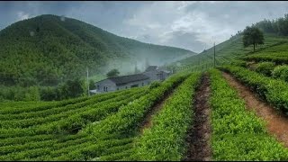 Video : China : A home and B&B in the mountains