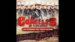 La Boda del Huitlacoche Music Video