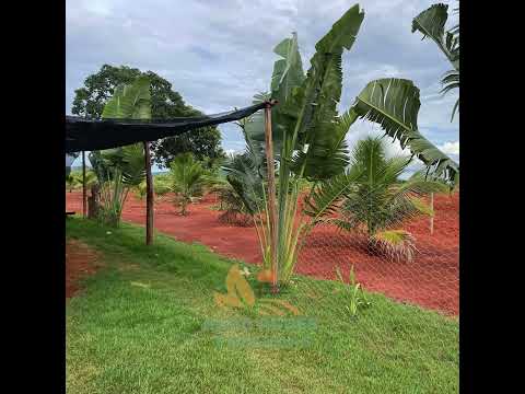 🌾 FAZENDA À VENDA – OPORTUNIDADE IMPERDÍVEL! UNAÍ MG
