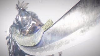 【MHWIB】テスト配信PC版モンハンワールドアイスボーン
