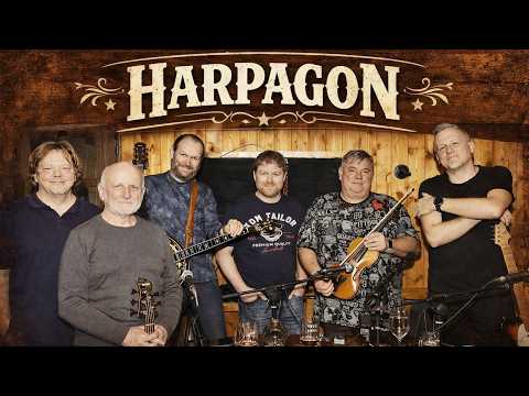 Harpagon * Papírový řetězy * Wabi Daněk  cover - live
