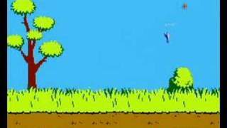 Duck Hunt on Wii