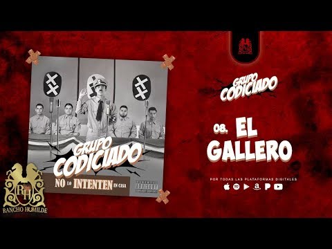 08. Grupo Codiciado - El Gallero [Official Audio]