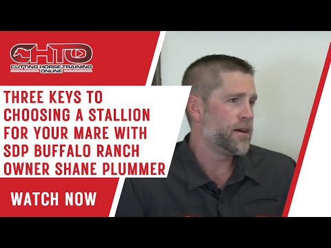 Three Keys To Choosing A Stallion For Your Mare with SDP Buffalo Ranch Owner Shane Plummer