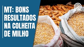 Miniatura do vídeo