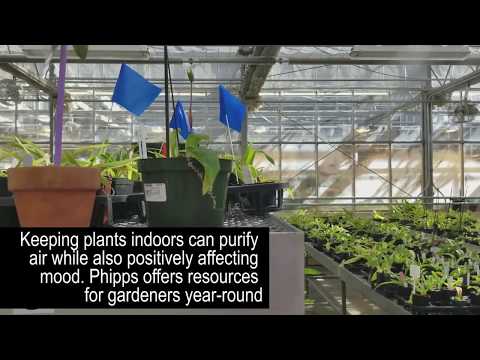 Phipps Center for Sustainable Landscapes