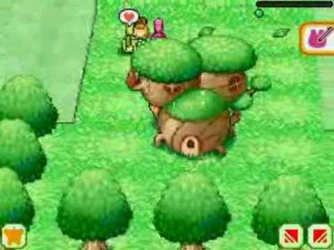 Ecolis 2 Nintendo DS