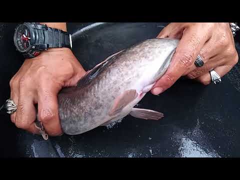 Jantan Novyj Trend Smotret Onlajn Na Sajte Trendovi Ru