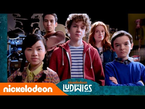 De Ludwigs