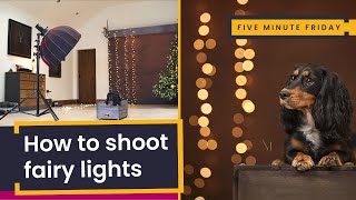How To Photograph Fairy Lights | Making holiday lights fluffy circles in your dog photography