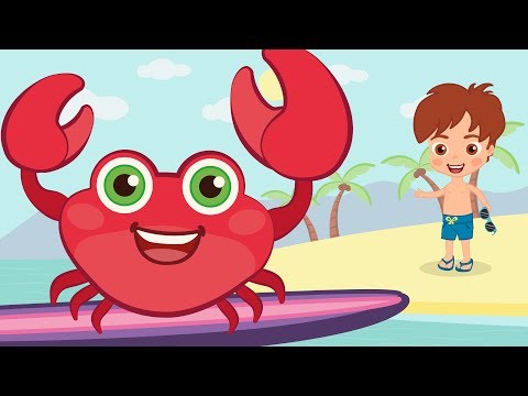 RUEDA RUEDA 🏄 Palma y Pie ✋👣 y más canciones para bailar ☁️🦁☁️