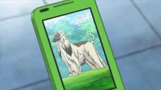 New Prince Of Tennis Ova Vs Genius10 Kitsu New Prince Of Tennis Ova Vs Genius10 Kitsu