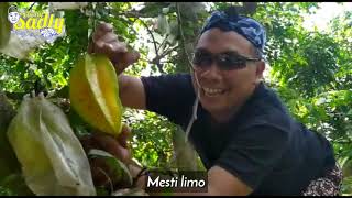 Download lagu Makna Lirik 'Penekno Belimbing Kuwi' | Lir-ilir mp3