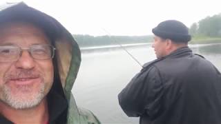 На что ловить щуку в дождь