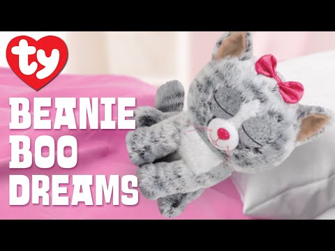 Beanie Boo Dreams