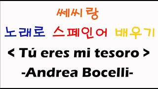스페인어 노래 배우기 [ Tú eres mi tesoro ]  Andrea Bocelli (If only 스페인어 버전)