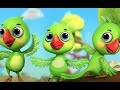 Main Tota Hare Rang Ka Hindi Rhymes मैं तोता मैं तोता 3DHindi Rhymes For