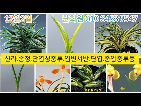 유튜브 썸네일