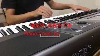 楊丞琳Rainie Yang-青春住了誰Youth Lies Within piano cover by小賴