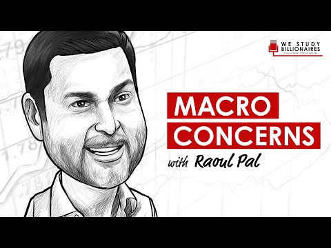 TIP256: Macro Concerns With Raoul Pal