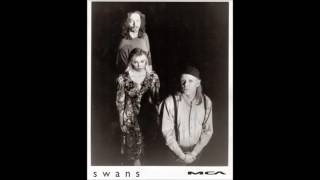 swans - live - 6 jun. 1988 - paradiso, amsterdam