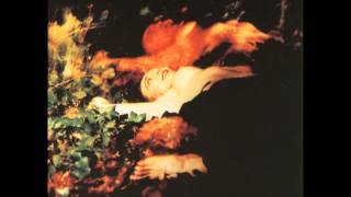 Jarboe - Ascending Now