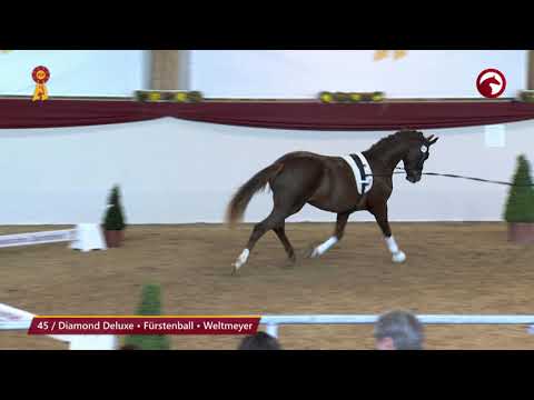 KN 45 von Diamond Deluxe / Fürstenball