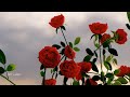 Bhavatharini Raja Humming Kadhalukku Mariyadhai 1997 𝓑𝓰𝓶 𝓜𝓪𝓮𝓼𝓽𝓻𝓸 Ilaya