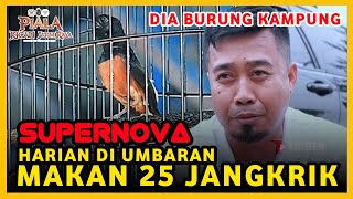 Download lagu Rawatan Murai SUPERNOVA ‼️ Jawara senilai 6 Mobil PIALA KICAU JATIM RAYA mp3 Download lagu Rawatan Murai SUPERNOVA ‼️ Jawara senilai 6 Mobil PIALA KICAU JATIM RAYA mp3