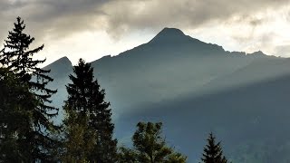 FOTO-POESIE + MUSIK Lied vom Nebel