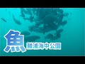 channel