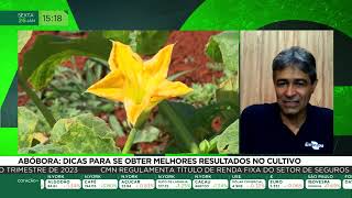 Miniatura do vídeo