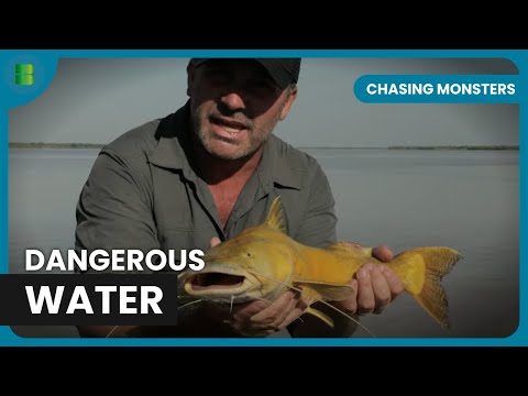 Best of Cyril Chauquet: Giant Fish Encounters | Chasing Monsters