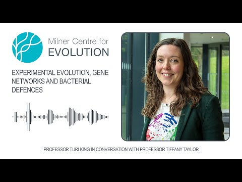 Experimental Evolution, Gene Networks and Bacterial Defences - Professor Tiffany Taylor