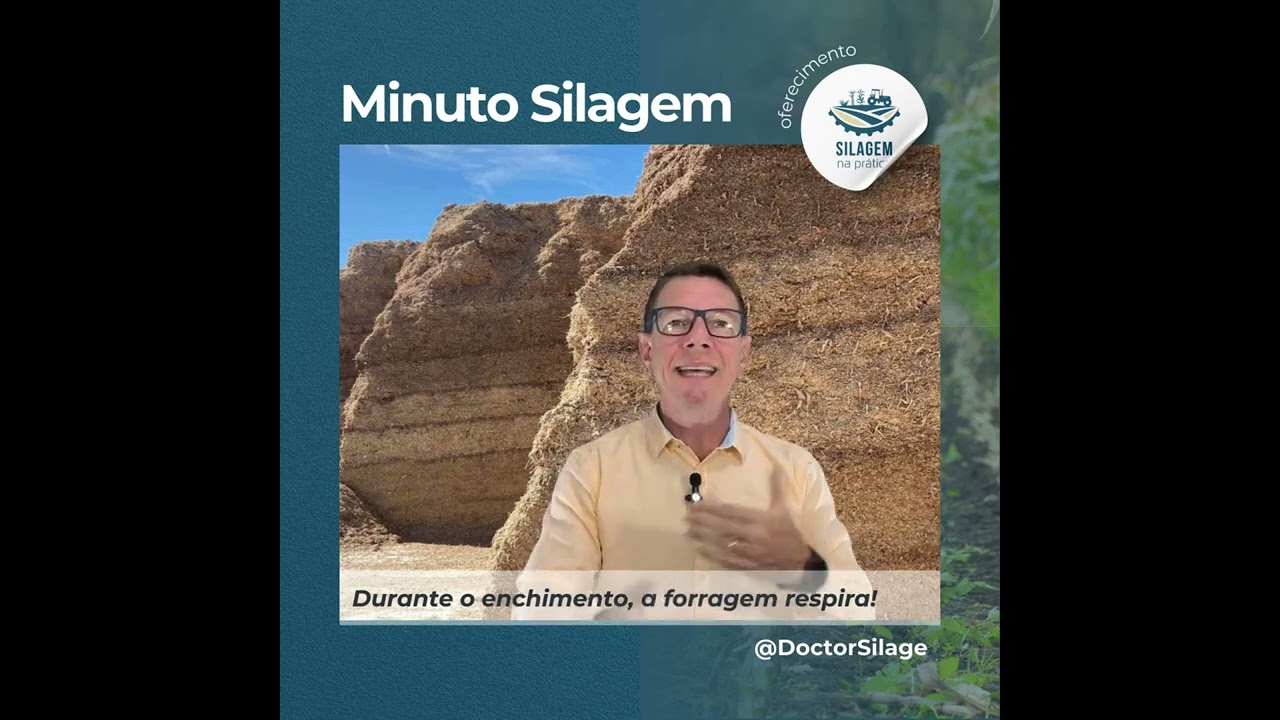 Respiração da planta, como reduzir esse tipo de perdas?