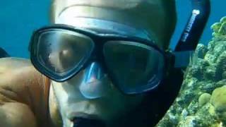 preview picture of video 'Snorkeling Roatan's Coral Reef'