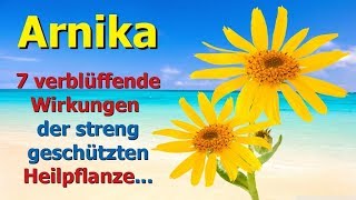 Arnika - 7 verblüffende Wirkungen der streng geschützten Heilpflanze