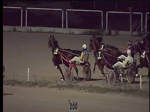 Trotto 30/11/2018 - 5ª corsa