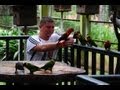 Kuala Lumpur Bird Park 2013 - YouTube