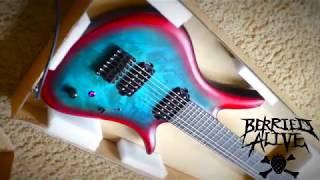 Video thumbnail for MY NEW SIGNATURE GUITAR by Berried Alive