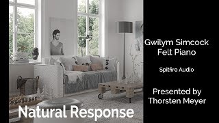 Video thumbnail for Gwilym Simcock Felt Piano by Spitfire Audio Natural Response Improvisation by StrongMocha