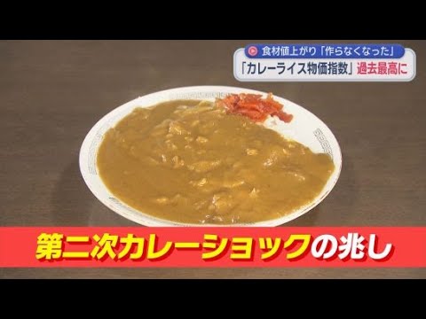 YouTube Video 第二次カレーショックか！？　カレーライス１食分の食材費や光熱費から算出する「カレーライス物価指数」が過去最高に