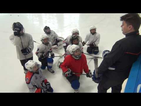 Hokej v Plzni | Pilsen Wolves