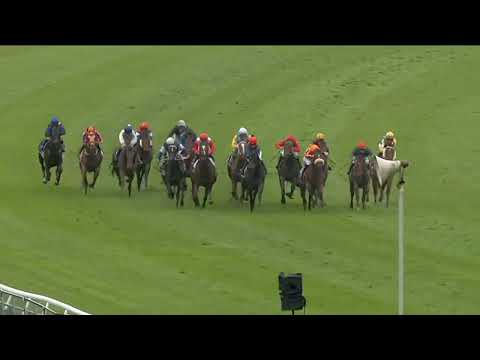 New Zealand 2000 Guineas 2025 - ROMANOFF (3YO SW G1) Group 1 Riccarton NZ 15 November