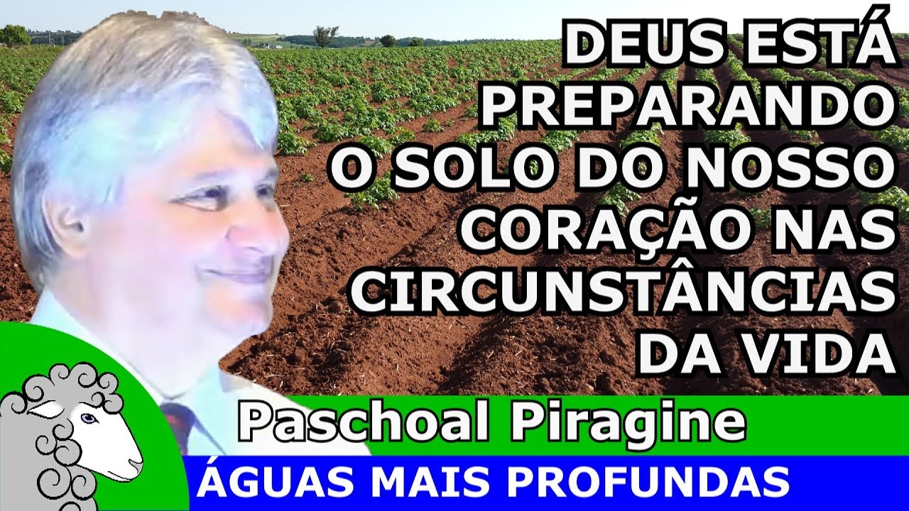 A melhor explicação da parábola do semeador - Como está o teu coração hoje? (Paschoal Piragine)