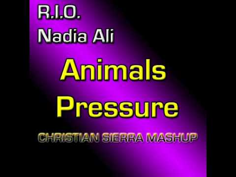 R.I.O. vs. Nadia Ali - Animals Pressure (Christian Sierra Mashup)