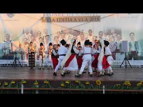 Bîrla Floare de cîmpie Fluierașii Teleorman